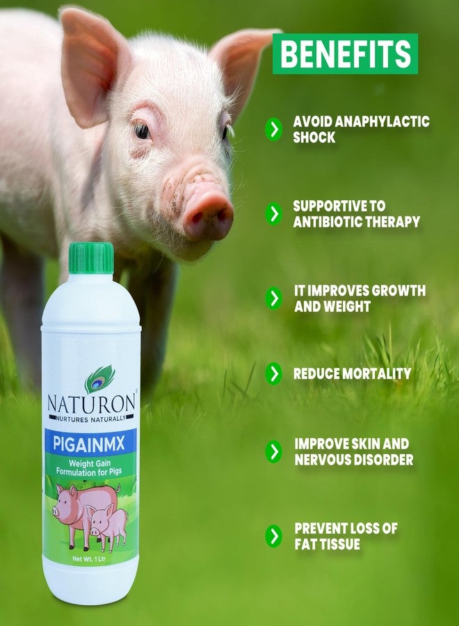 Agron Naturon Pigainmx Liquid Calcium & Weight Gain Supplement for Pigs & Piglets - 1 Litre - Image 3